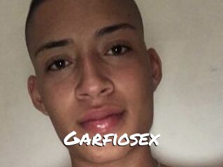 Garfiosex