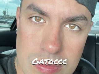 Gatoccc