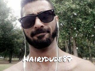 Hairydude87