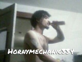 Hornymechanic334