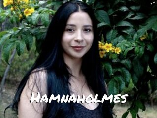 Hamnaholmes