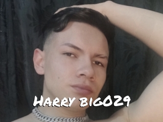 Harry_big029