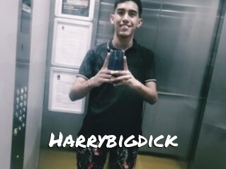 Harrybigdick