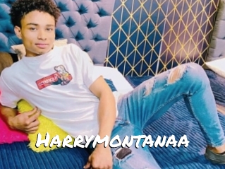 Harrymontanaa