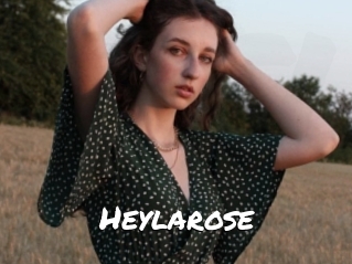 Heylarose