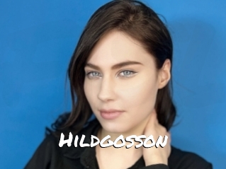 Hildgosson