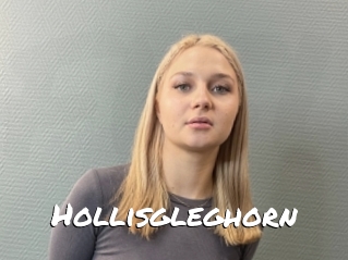 Hollisgleghorn