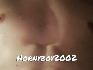 Hornyboy2002