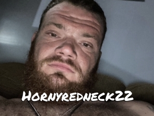 Hornyredneck22