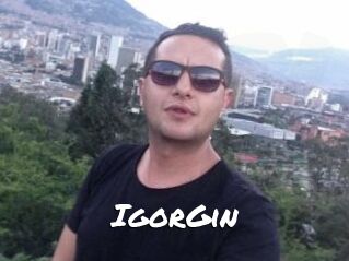 IgorGin