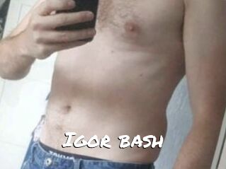 Igor_bash