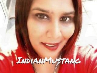 IndianMustang