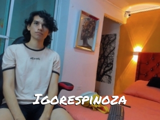 Igorespinoza