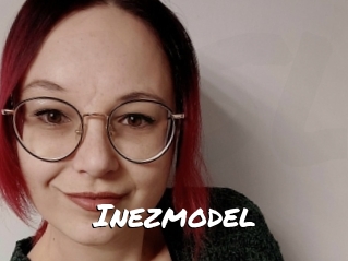 Inezmodel