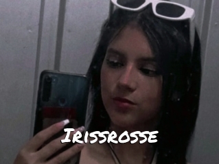 Irissrosse