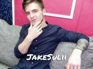 JakeSulii