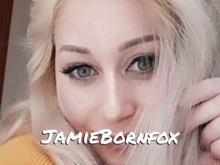 JamieBornfox