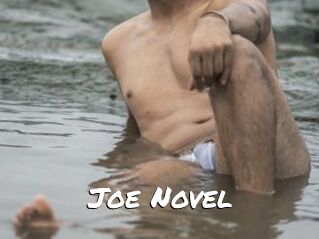 Joe_Novel