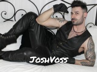 JoshVoss