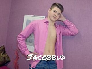 Jacobbud