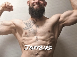 Jayybird