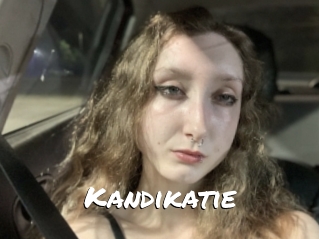 Kandikatie