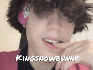 Kingsnowbunny