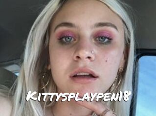 Kittysplaypen18