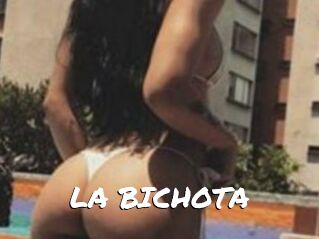 LA_BICHOTA