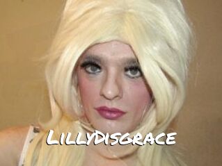 LillyDisgrace