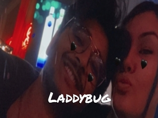 Laddybug