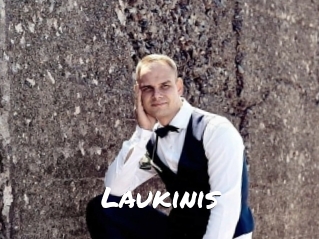 Laukinis