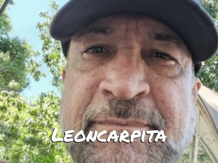 Leoncarpita