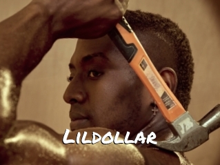 Lildollar