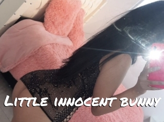 Little_innocent_bunny