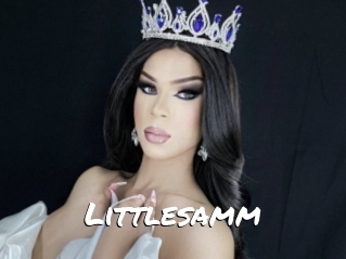 Littlesamm