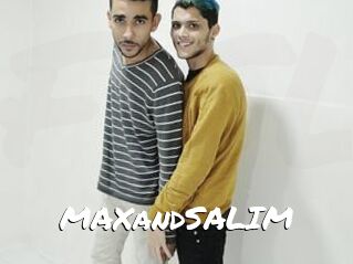 MAXandSALIM