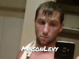 Mason_Levy