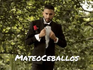 MateoCeballos