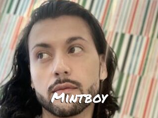 Mintboy