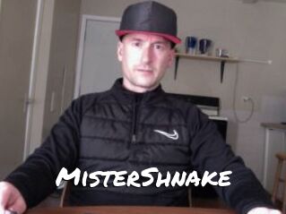 MisterShnake