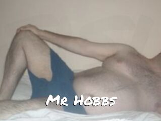 Mr_Hobbs