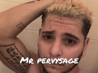 Mr_pervysage