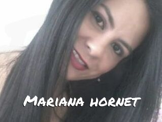 Mariana_hornet