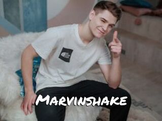 Marvinshake