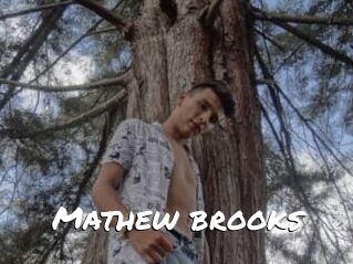 Mathew_brooks