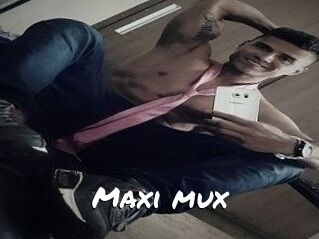 Maxi_mux