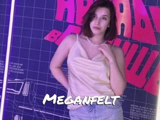 Meganfelt