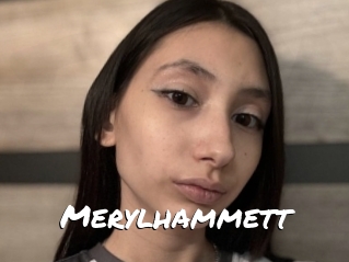 Merylhammett