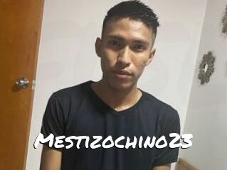 Mestizochino23